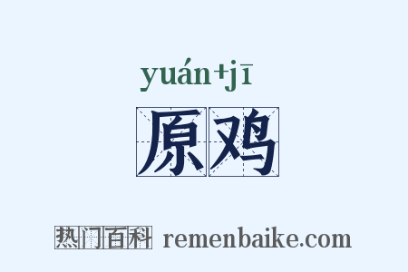 原鸡是什么意思的图片